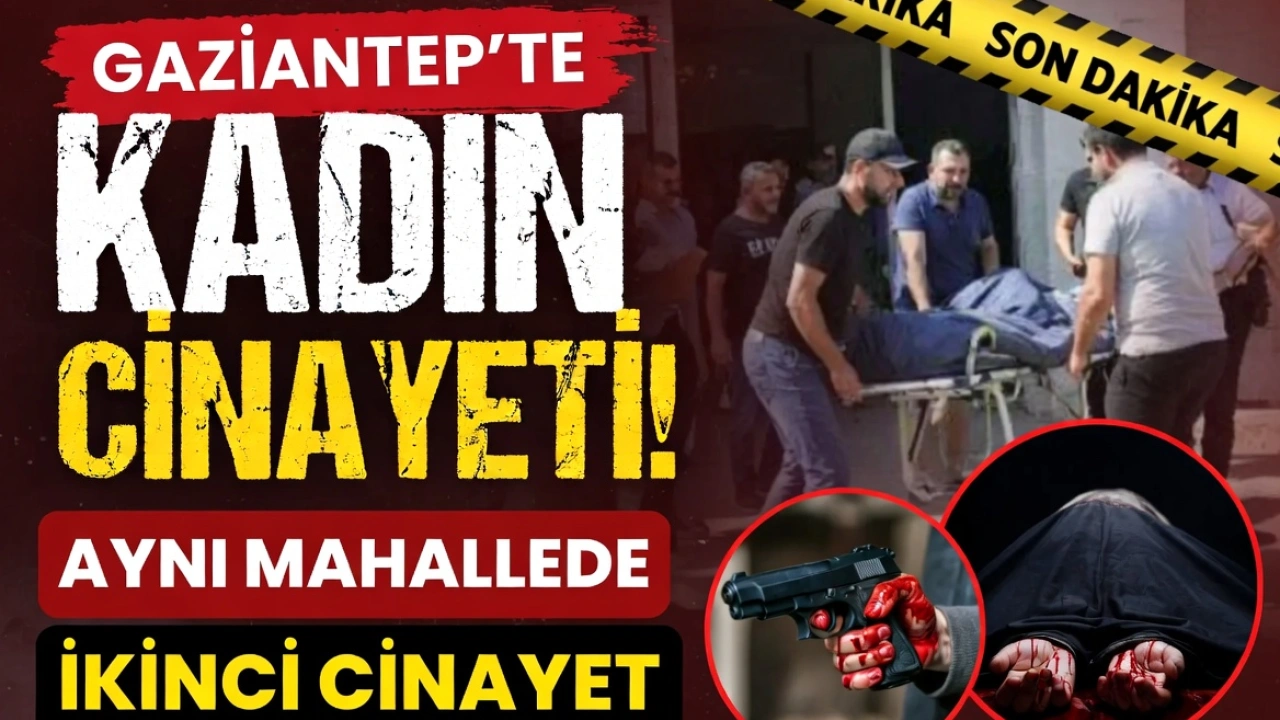 Kadın cinayeti sayısı artıyor