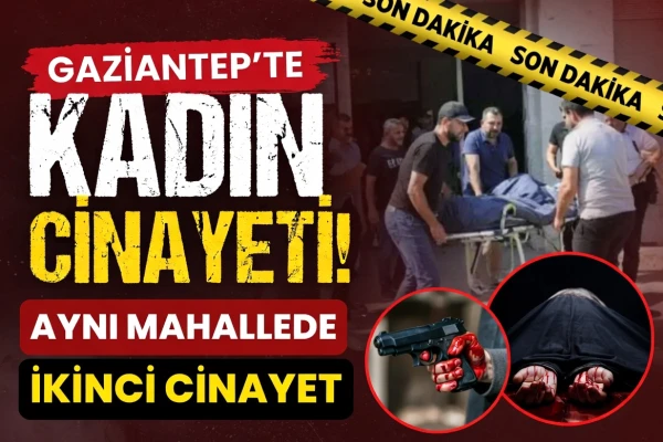 Kadın cinayeti sayısı artıyor